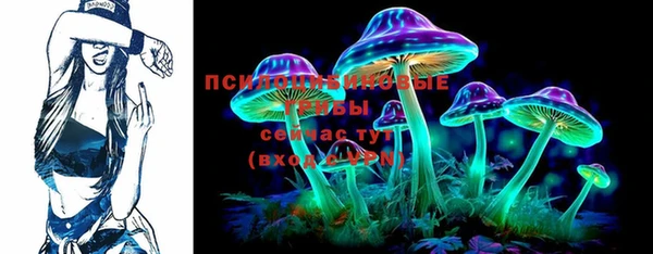 СК Новокубанск