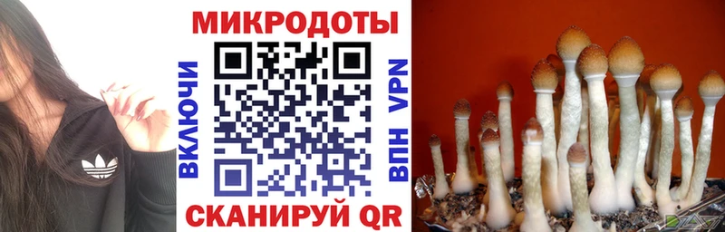 Псилоцибиновые грибы GOLDEN TEACHER  Сосновый Бор 