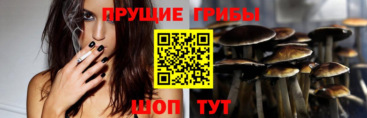 Alpha PVP СК кристаллы  Вход с VPN  Канабис  ГАШ  Cocaine  ГАШ  MDMA  Сосновый Бор  Мефедрон кристаллы  КОКАИН 